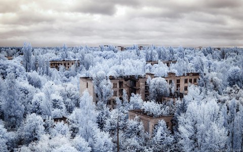 Ngo ngang vung chet choc Chernobyl hoa xu than tien dep la-Hinh-5