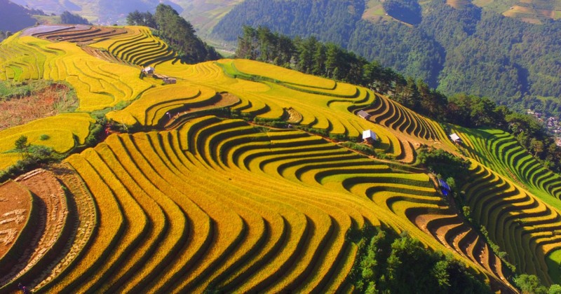 CNTraveler: Mu Cang Chai lot top dia diem ruc ro nhat TG-Hinh-2