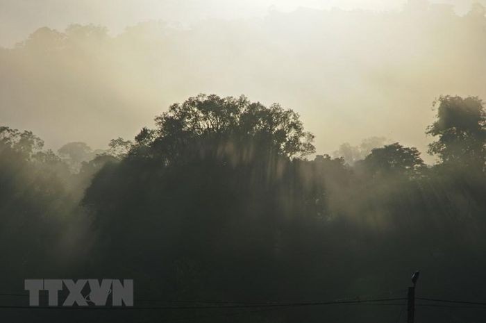 He lo bau vat troi ban trong Khu du tru sinh quyen Kon Ha Nung-Hinh-9