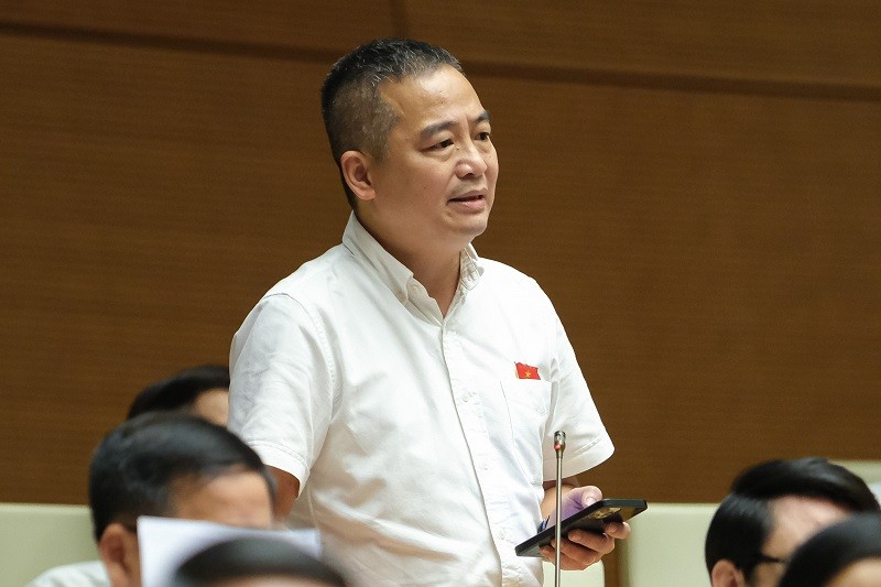 Dai bieu Nguyen Lan Hieu: Nen cam ban sach tham khao trong nha truong-Hinh-2