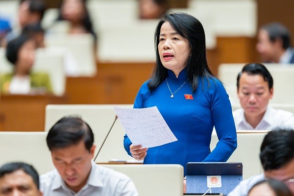 DB Quoc hoi: Co cuoc thanh tra tu nam 2016, den nay chua ket luan