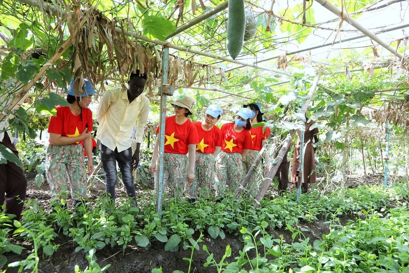 Nhung ‘bong hong thep’ Viet Nam toa sang o chau Phi-Hinh-4