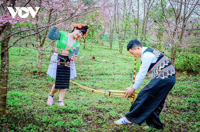 Ngam loai hoa bao hieu mua xuan tren mien cao Tay Bac-Hinh-5