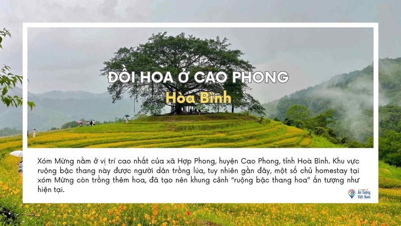 View - 	Chiêm ngưỡng 7 điểm du lịch có cảnh đẹp ấn tượng năm 2023