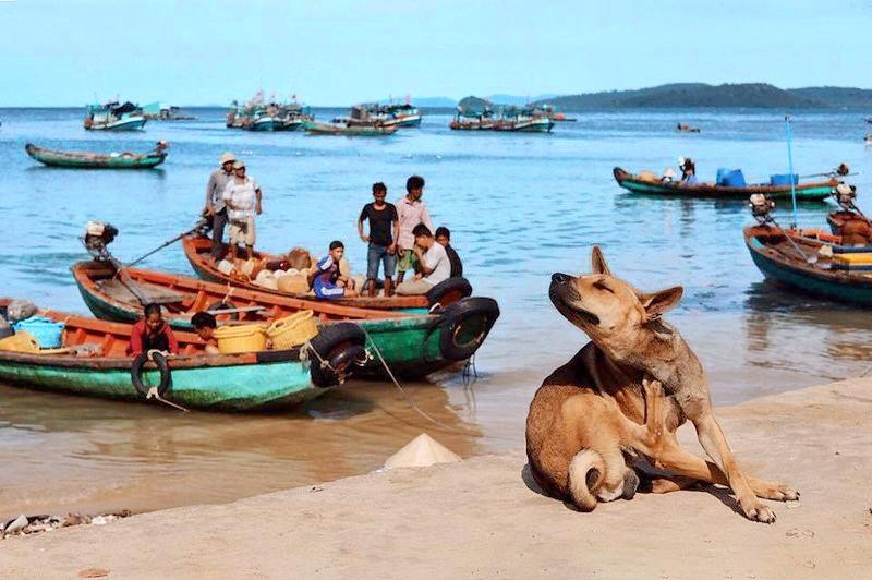 'De nhat quoc khuyen' cua Viet Nam thuoc hang dat nhat the gioi-Hinh-4