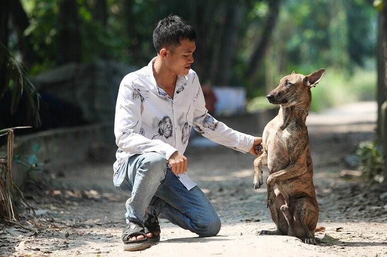 'De nhat quoc khuyen' cua Viet Nam thuoc hang dat nhat the gioi-Hinh-6