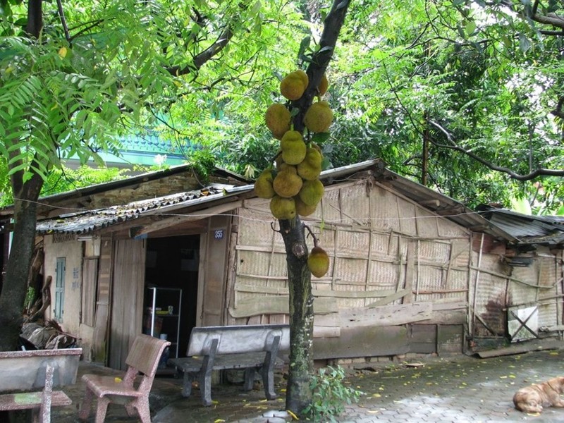 PGS.TS Pham Minh Son: Tu tro ngheo toi nha khoa hoc noi tieng TG-Hinh-3