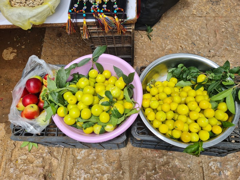 Lac loi o Thuc Ha co tran, canh sac nghin nam quen loi ve-Hinh-15