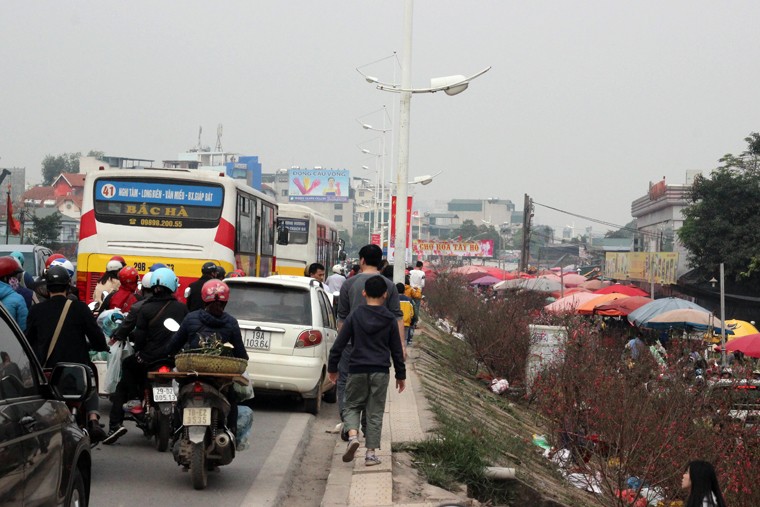 Nguoi Ha Noi chen nhau nghet tho o cho hoa ngay 29 Tet-Hinh-12