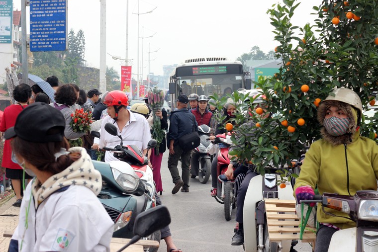 Nguoi Ha Noi chen nhau nghet tho o cho hoa ngay 29 Tet-Hinh-13