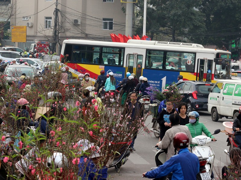 Nguoi Ha Noi chen nhau nghet tho o cho hoa ngay 29 Tet-Hinh-14