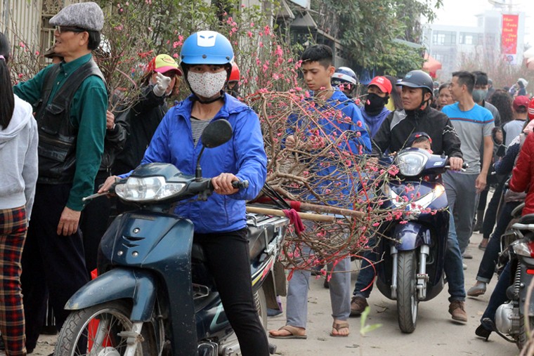 Nguoi Ha Noi chen nhau nghet tho o cho hoa ngay 29 Tet-Hinh-9