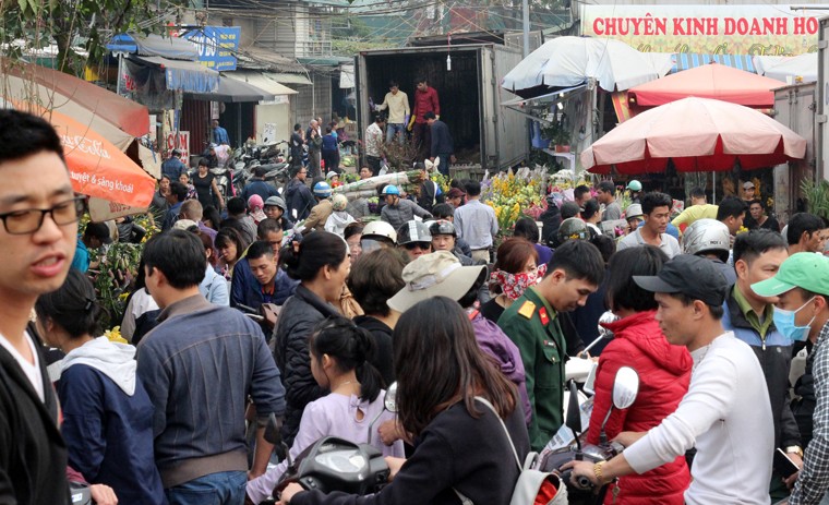 Nguoi Ha Noi chen nhau nghet tho o cho hoa ngay 29 Tet