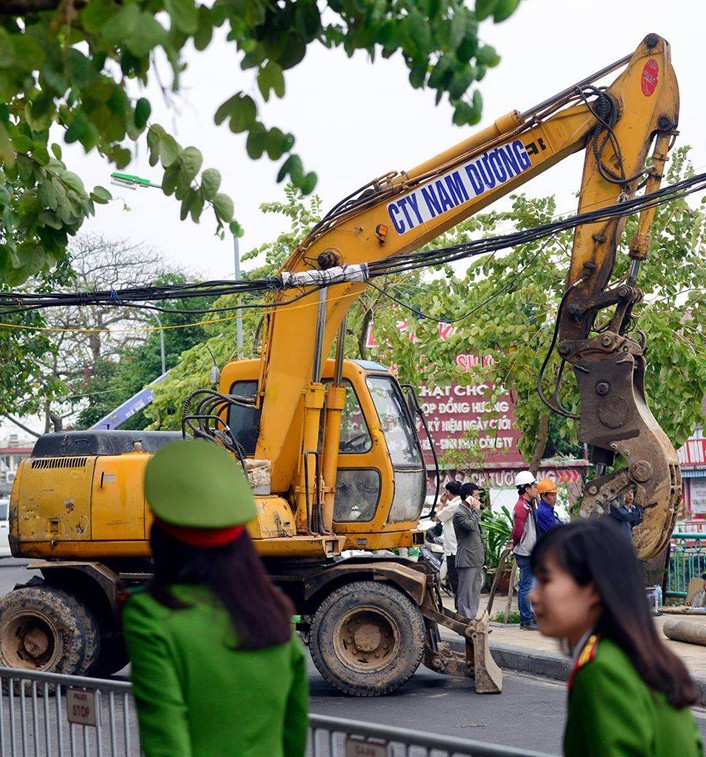 Chum anh: Cuong che thao do nha noi o ho Tay