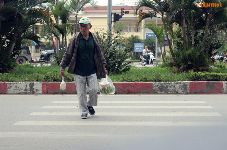 Anh: Nguoi di bo Ha Noi meu mao vi vach sang duong bi chan-Hinh-4