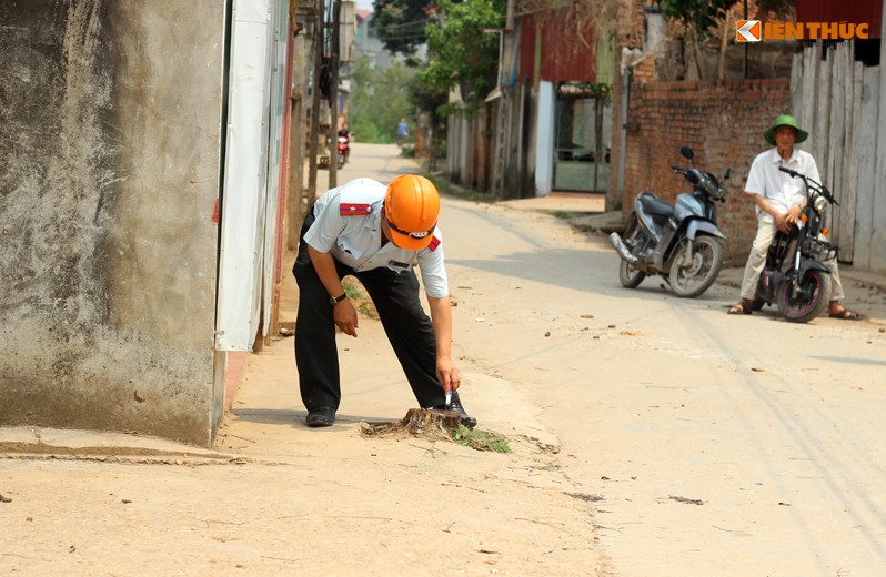 Can canh hang loat cay xanh bi chat ha de don via he Ha Noi-Hinh-15