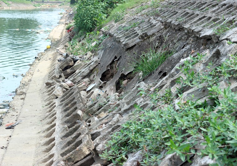 Anh: Kinh hoang canh bat huong va rac ban ngap ho Den Lu - Ha Noi-Hinh-18