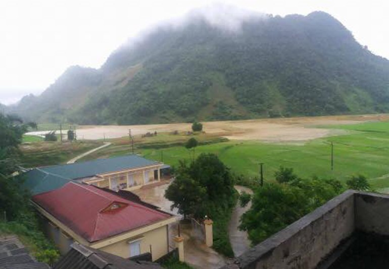 Anh: Mua nhan chim nha cua cua nguoi dan o Hoa Binh-Hinh-8