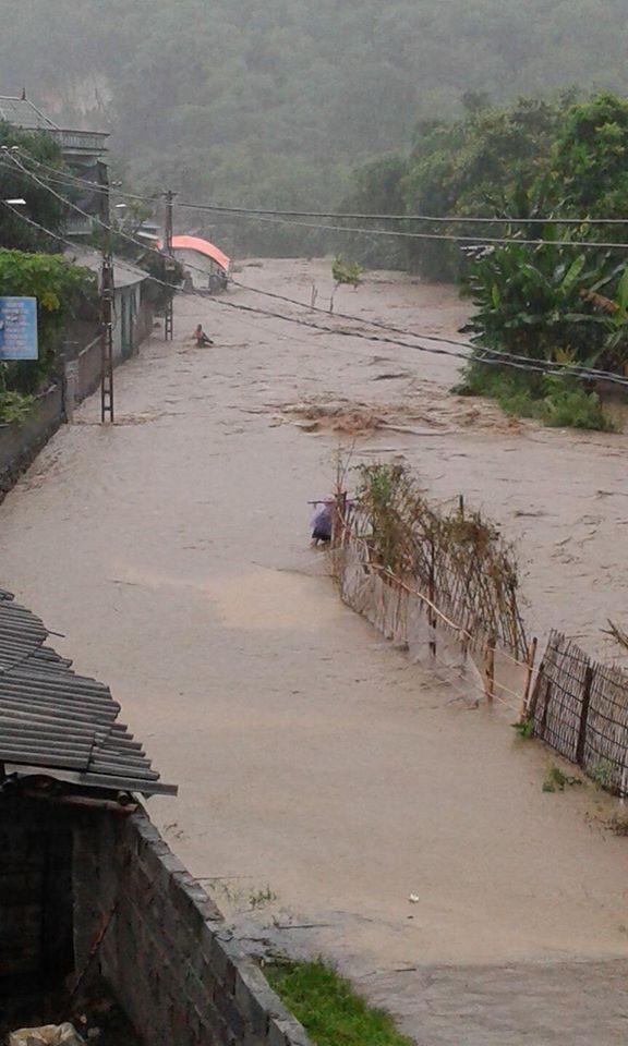 Anh: Mua nhan chim nha cua cua nguoi dan o Hoa Binh