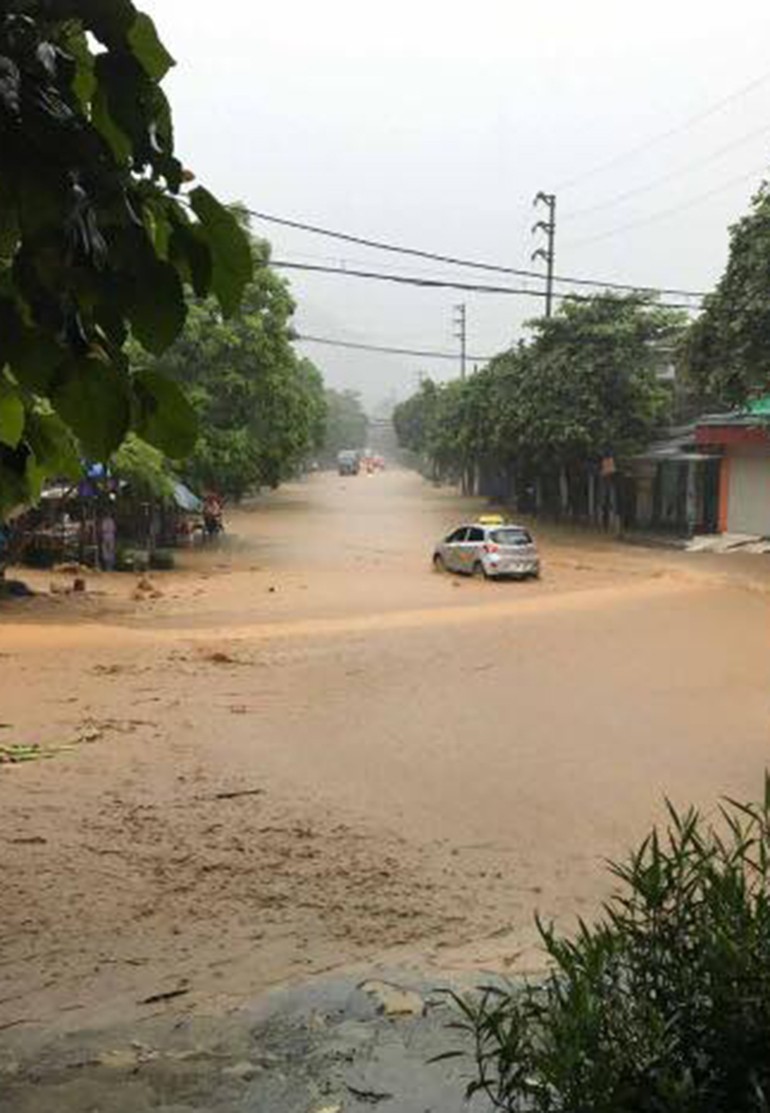 Anh: Mua nhan chim nha cua cua nguoi dan o Hoa Binh-Hinh-12