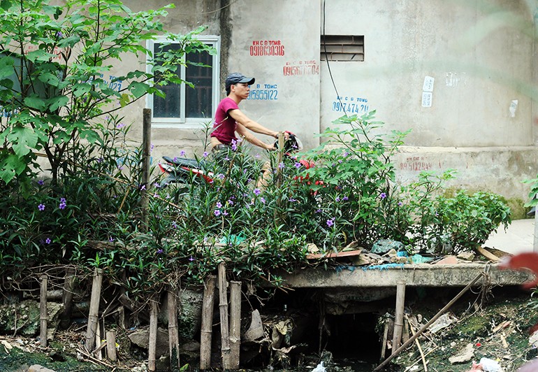 Anh: Nhung con muong &quot;chet&quot; tiem an sot xuat huyet o Ha Noi-Hinh-12