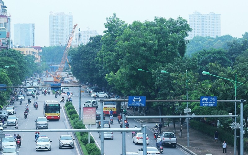 Tiec ngan ngo nhin hang cay duong Kim Ma sap bi &quot;tram&quot;-Hinh-2