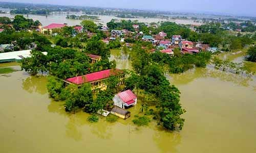 Ha Noi yeu cau kiem diem phat ngon “vo de co ke hoach“-Hinh-2