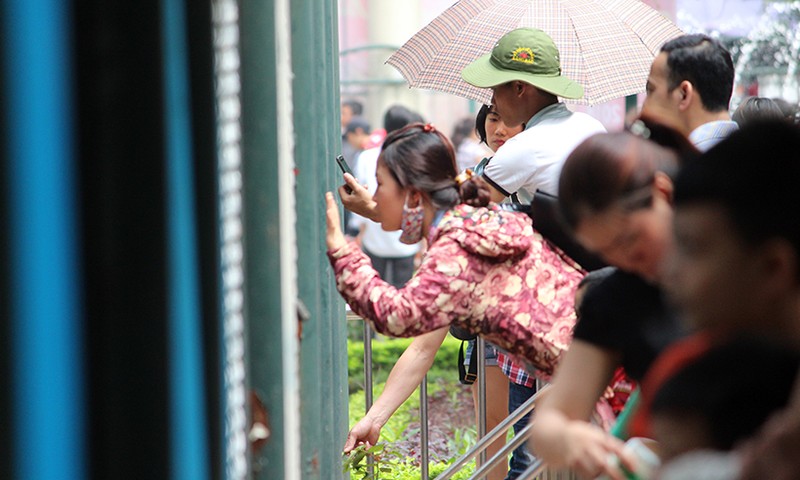 Nam thanh nu tu dap len co hoa, “tu suong” o Cong vien Thu Le-Hinh-11