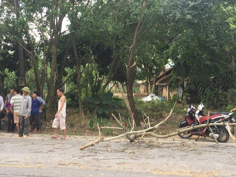 Xot xa doi nam nu sap cuoi thuong vong vi canh cay roi trung-Hinh-2