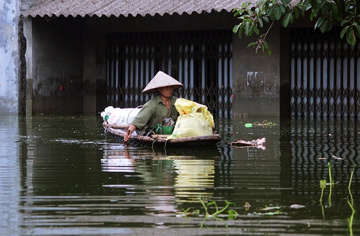 Ngap lut o Chuong My: Nguoi len noc, nhuong nha cho lon ga-Hinh-5