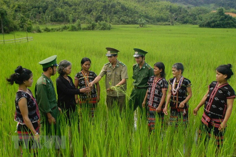 Hinh anh dep, an tuong Quan doi Nhan dan Viet Nam-Hinh-3