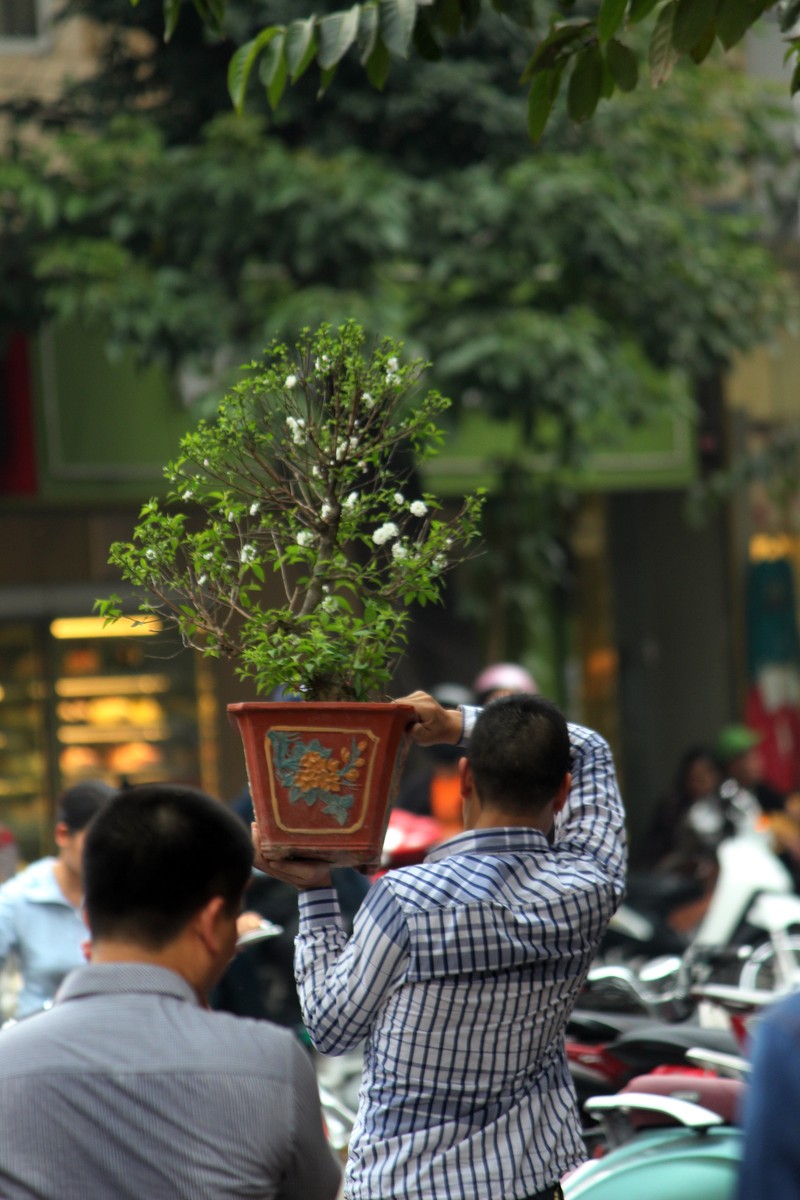 Dong nghet nguoi chen nhau o cho phien doc dao tai Ha Noi-Hinh-7