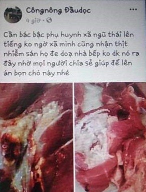 Thanh nien tung tin don that thiet ve nhiem san lon va cai ket