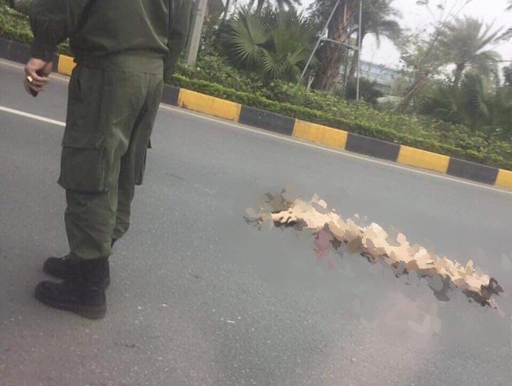 Co gai nuoc ngoai nhay cau vuot tu vong tai san bay Noi Bai-Hinh-2