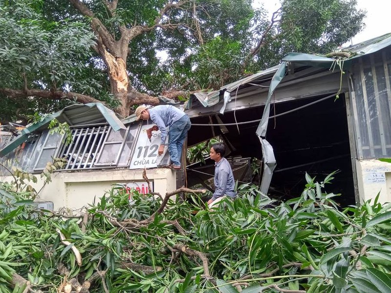 Ha Noi: Canh cay lon gay do vao quan an, nhieu nguoi thao chay-Hinh-12