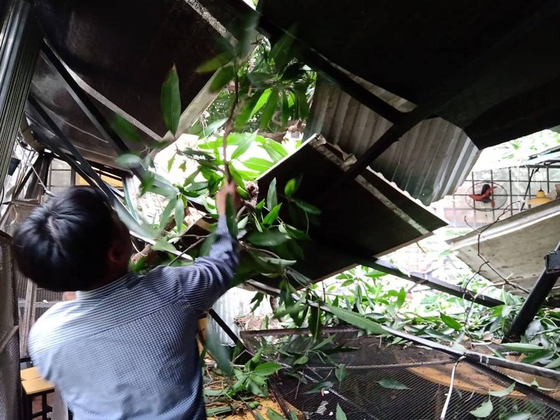 Ha Noi: Canh cay lon gay do vao quan an, nhieu nguoi thao chay-Hinh-13