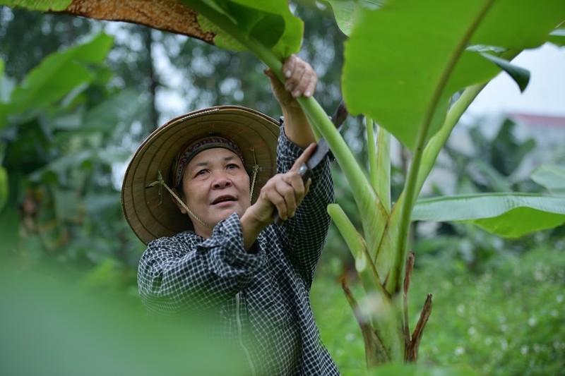 Nghe doc nhat vo nhi: Be la chuoi, 