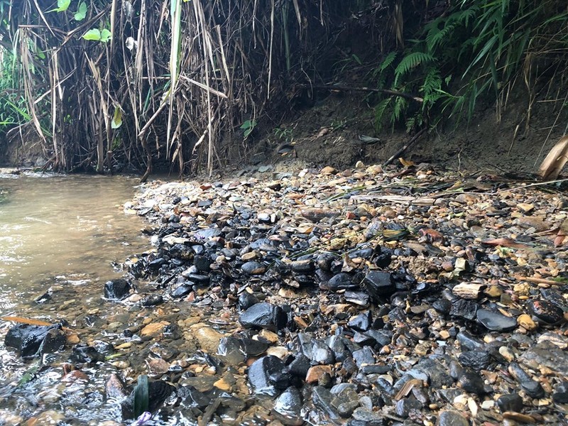 Kinh hoang dau thai den ngom dau nguon nuoc song Da khien nuoc may Ha Noi boc mui la-Hinh-3