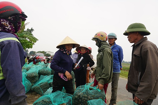 Bo kho vai nam khong hong, ca kho ruoi khong dam dau-Hinh-5