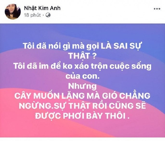 Bi to bao hanh vo dang mang thai, chong cu Nhat Kim Anh noi gi?-Hinh-3