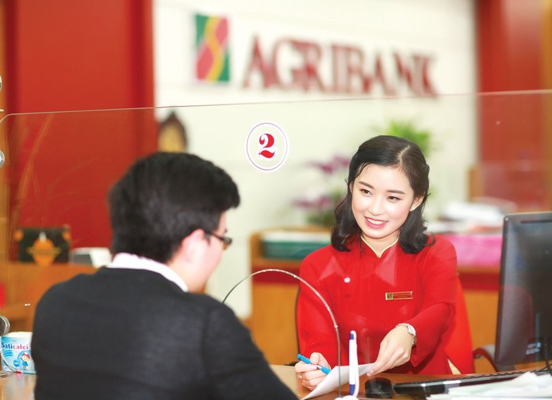 “Suc khoe” loat ngan hang Agribank, Vietcombank va VBSP bi kiem toan trong 2020 the nao?-Hinh-2