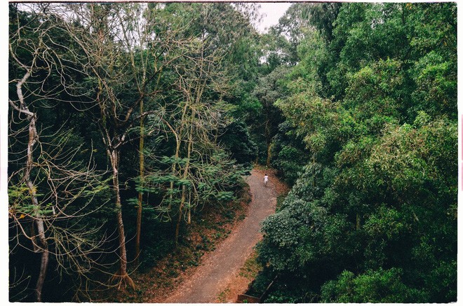 Nhung van de can sua doi de hai hoa giua Luat dat dai va Luat lam nghiep