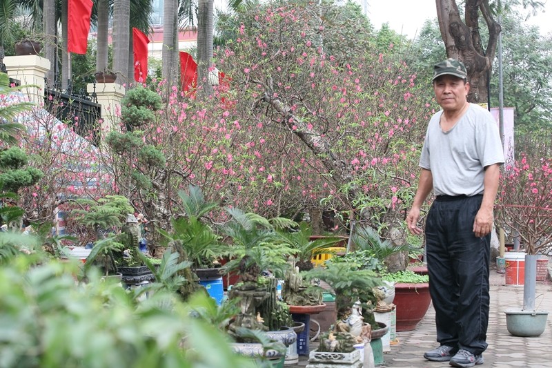 Van tue bonsai choi Tet co truyen gia ca chuc trieu dong/chau-Hinh-8