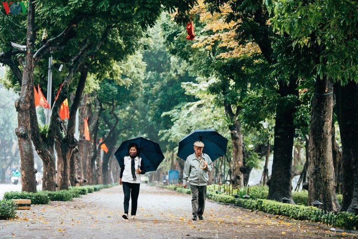 Pho phuong Ha Noi vang ve sau khuyen cao “han che ra duong“-Hinh-4