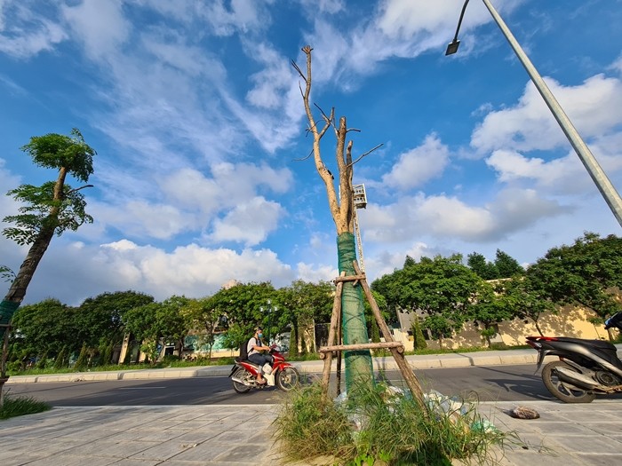 Canh nhech nhac o du an cai tao hang tram ty dong cua quan Nam Tu Liem, HN-Hinh-12