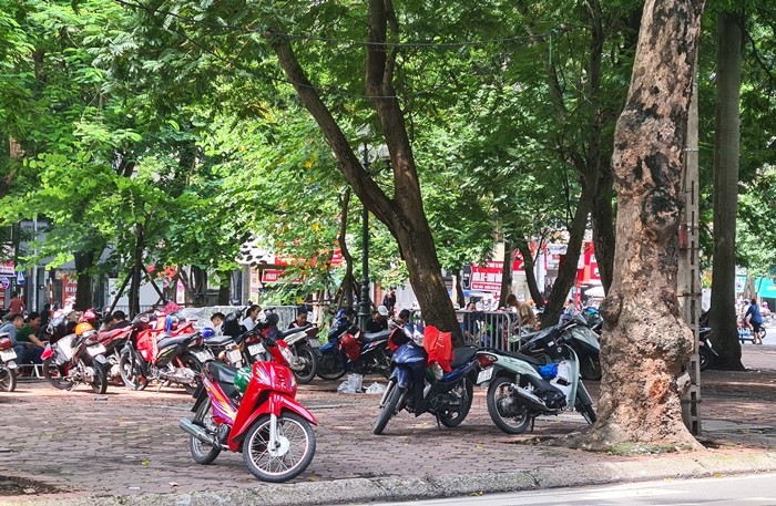 Nhieu nguoi phot lo viec deo khau trang, tu tap ban tra da rom ra o Ha Noi-Hinh-2