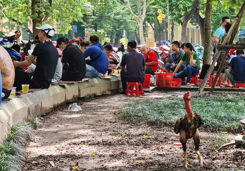 Nhieu nguoi phot lo viec deo khau trang, tu tap ban tra da rom ra o Ha Noi-Hinh-5