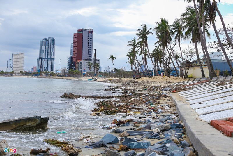 Bien Da Nang ngap rac va cui kho