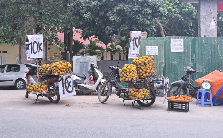 Ha Noi: Hoa qua khong ro nguon goc dua nhau xa hang can Tet-Hinh-2