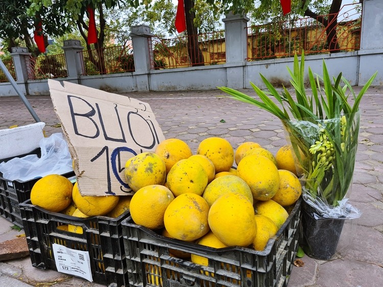 Ha Noi: Hoa qua khong ro nguon goc dua nhau xa hang can Tet-Hinh-8